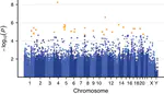 Germline variation in anti-tumor immunity