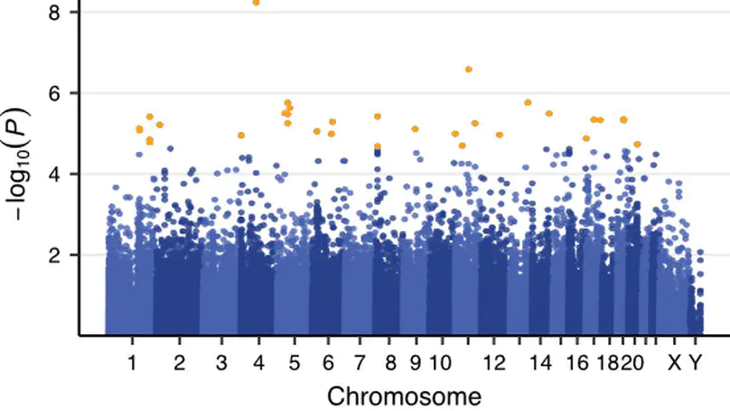 Germline variation in anti-tumor immunity