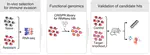 Resistance against cancer immunotherapy