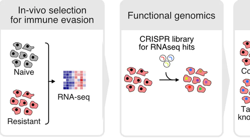 Resistance against cancer immunotherapy