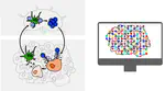 Single cell genomics in anti-tumor immunity