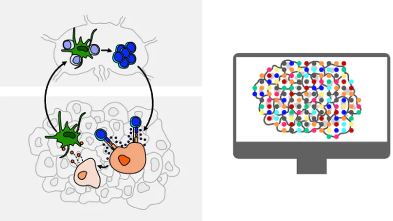 Single cell genomics in anti-tumor immunity