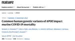 Our paper on APOE in COVID-19 is published in Nature