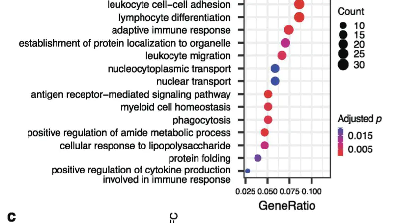 Our paper on LXR agonism in T cell activation is out in JEM!