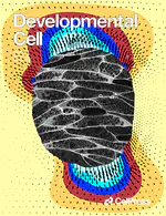 Functional Genetic Screen Identifies ITPR3/Calcium/RELB Axis as a Driver of Colorectal Cancer Metastatic Liver Colonization