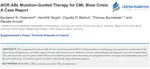 BCR-ABL Mutation-Guided Therapy for CML Blast Crisis: A Case Report