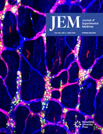 Liver-X-receptor agonism enhances T cell priming and activation to promote anti-tumor immunity